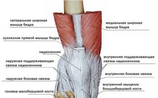 Коленный сустав: связки и травмы, связанные с ними